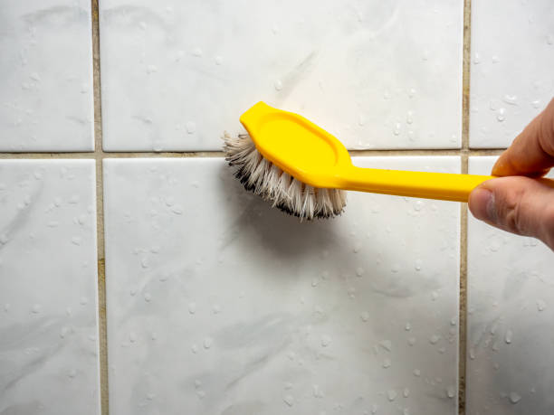 Best Bathroom Mold Remediation in Mineral Wells, TX