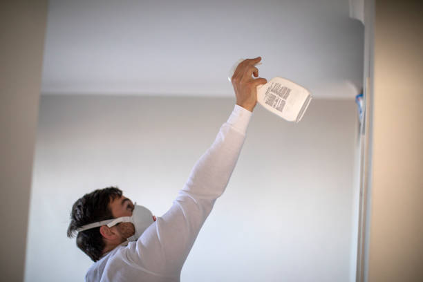 Best Mold Remediation for Schools in Mineral Wells, TX